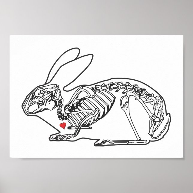 SKELLY BUN POSTER (Front)