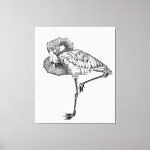 Sketch American BW Flamingo   Funny Flamingo Canvas Print