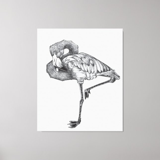 Sketch American BW Flamingo | Funny Flamingo Canvas Print (Front)
