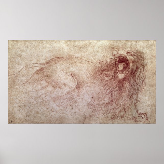 Sketch of a roaring lion poster (Front)