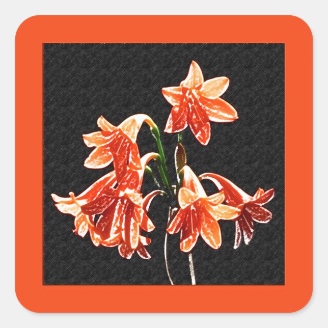 Sketch of Daylilies - Mandarin orange and Rust Square Sticker (Front)