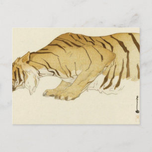 Sketch Of Tiger Dobutsu-En Tora Zoological Garden Postcard