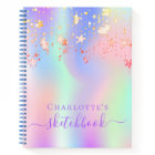 Sketchbook holographic unicorn pink rainbow