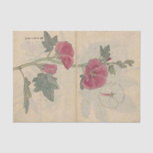 Sketchbook Pl. 096 by Ariyoshi Kondo Tissue Paper