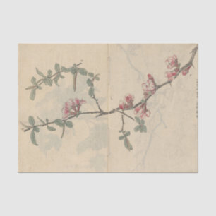 Sketchbook Pl. 096 by Ariyoshi Kondo Tissue Paper
