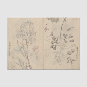 Sketchbook Pl. 110 by Ariyoshi Kondo Tissue Paper