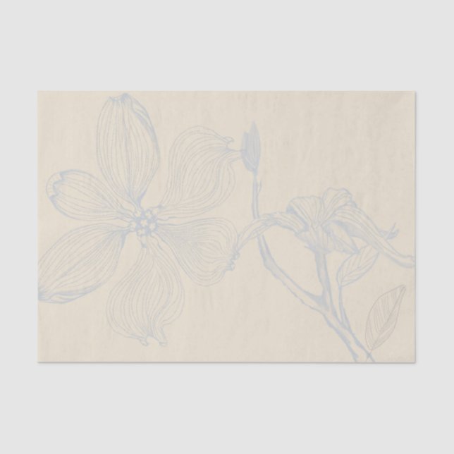 Sketched Dogwood Branch Lg Scale on Parchment Tissue Paper (Front)