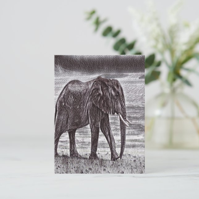 Sketched elephant postcard (Standing Front)
