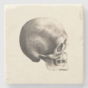 Sketchy Skull Stone Coaster