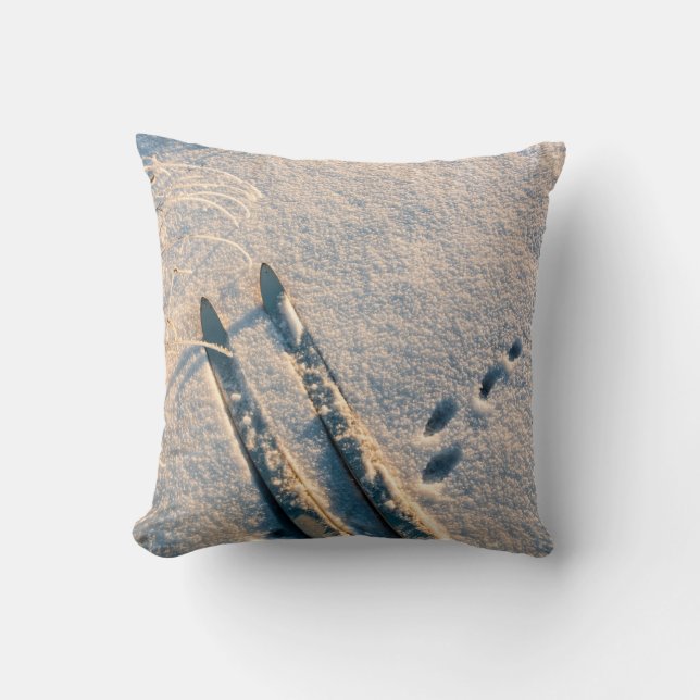 Ski track throw pillow (Front)