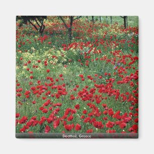 Skiathos, Greece Magnet