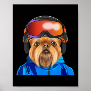 Skier Brussels Griffon Snowboarding Dog Poster