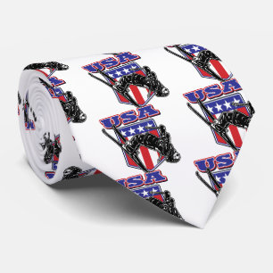 Skier USA Tie