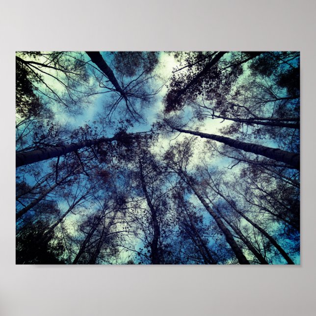 Skies Poetic Moment Value Poster Paper (Matte) (Front)