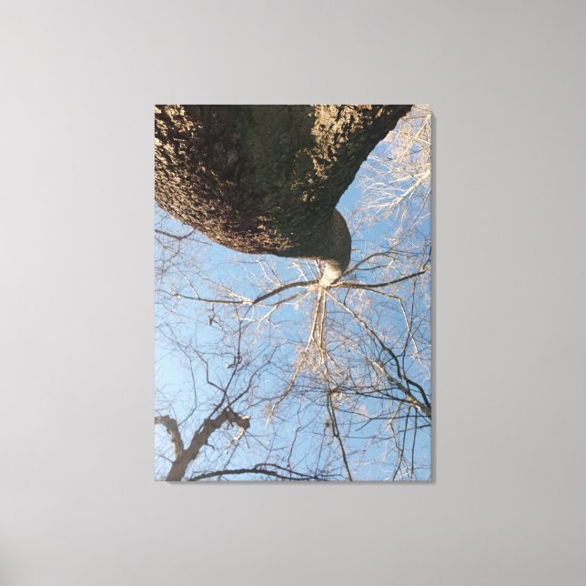 Skies the limit canvas print (Front)