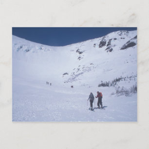 Skiiers at Tuckerman's Ravine Mount Washington Postcard