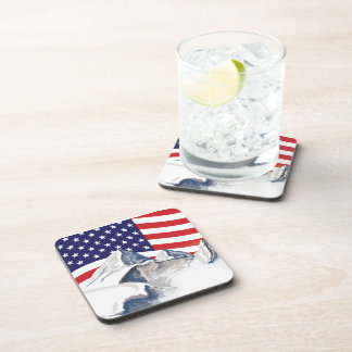 Skiing Mountains Coaster