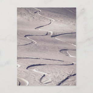 Skiing Tracks Postcard