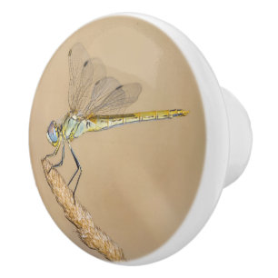 Skimmer Dragonfly Insect Female (CC BY 4.0) Ceramic Knob