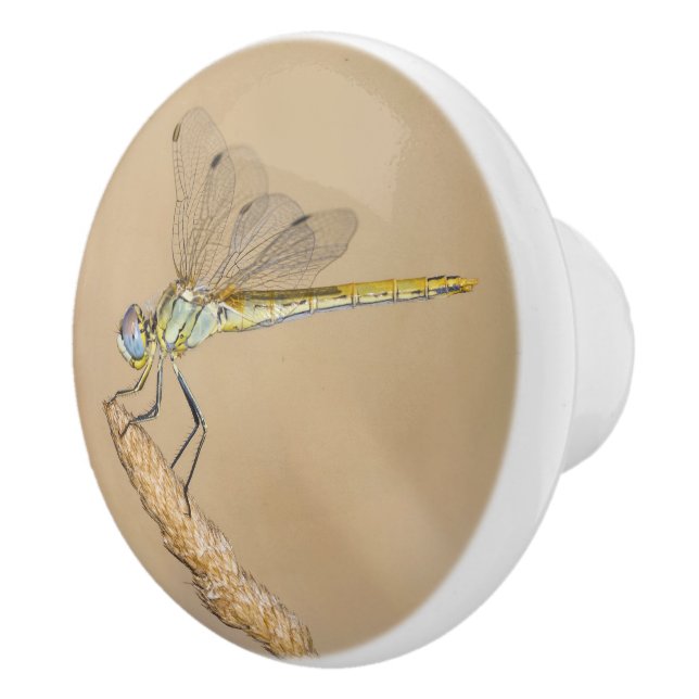 Skimmer Dragonfly Insect Female (CC BY 4.0) Ceramic Knob (Right)