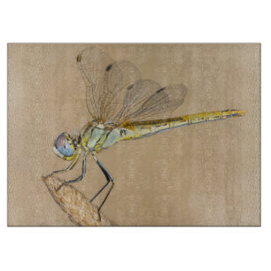 Skimmer Dragonfly Insect Female (CC BY 4.0) Cuttin Cutting Board
