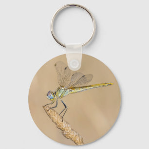 Skimmer Dragonfly Insect Female (CC BY 4.0) Keycha Keychain