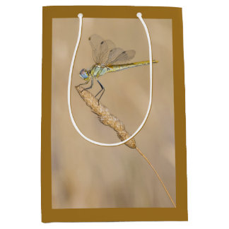 Skimmer Dragonfly Insect Female (CC BY 4.0) Medium Gift Bag