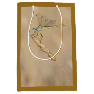 Skimmer Dragonfly Insect Female (CC BY 4.0) Medium Gift Bag