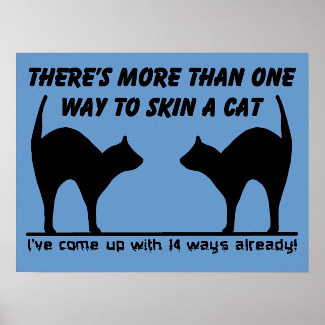 Skin A Cat Funny Poster Imprimer Signal Humour (Devant)