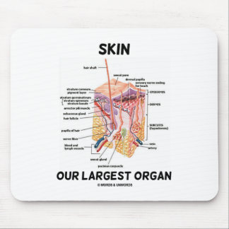 Skin Our Largest Organ (Dermal Layers) Mouse Pad