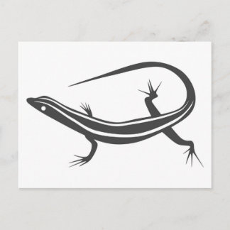 Skink lizard postcard