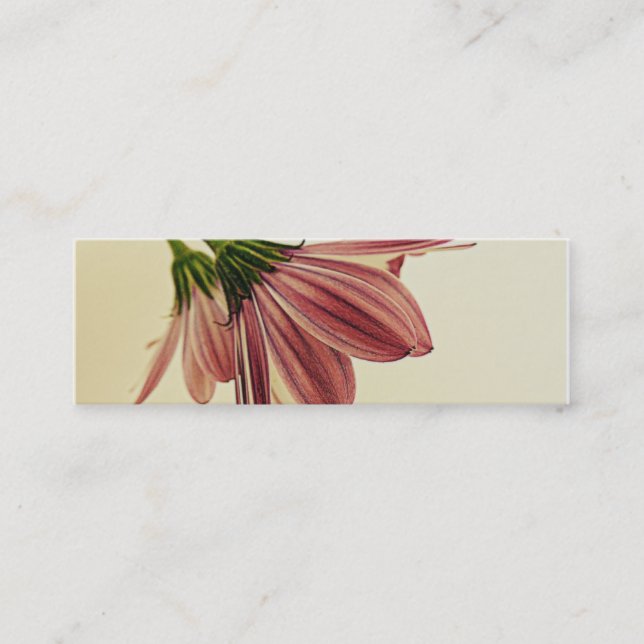 Skinny Business Cards Shawna's African Daisys (Front)