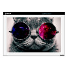 chatte lunettes de soleil