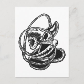 Skinside Out Postcard