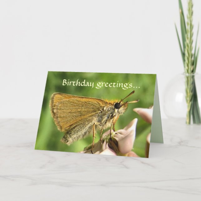Skipper on Milkweed Birthday Card (Front)
