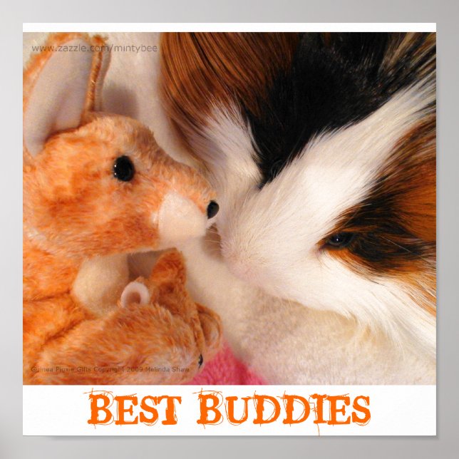 Skippy Pig & Roo Stuffy Poster (Front)