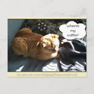 Skippy Where's My Coffee Postcard