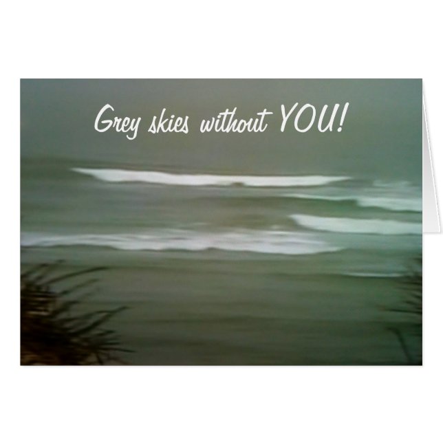 SKIS GRIS SANS VOUS ! "VOUS MANQUEZ SI !" (Devant horizontal)