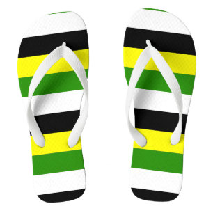 Skoliosexual Pride Flip Flops
