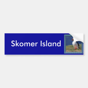 Skomer Island Puffins Bumper Sticker