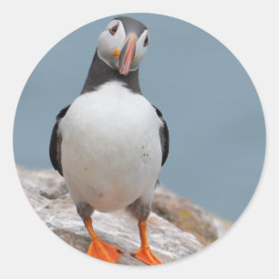 Skomer Island Puffins Classic Round Sticker