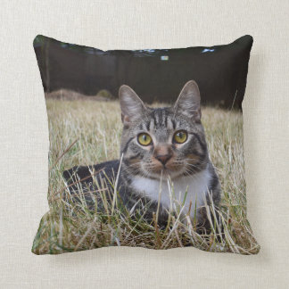 Skooter Pillow