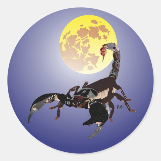 Skorpion Aufkleber Classic Round Sticker (Front)