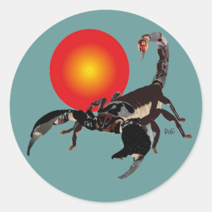Skorpion Aufkleber Classic Round Sticker