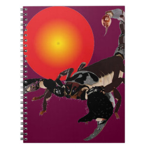 Skorpion notebook