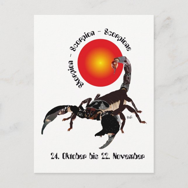 Skorpion Sternzeichen Postkarte Postcard (Front)