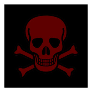 Skull and Bones Poster