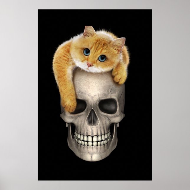 Skull and Cat Poster (Front)