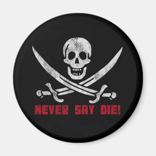 Skull and Crossbones Magnet