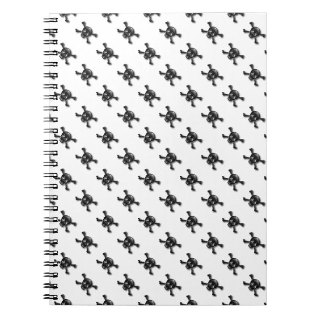 Skull and Crossbones Notebook (Front)
